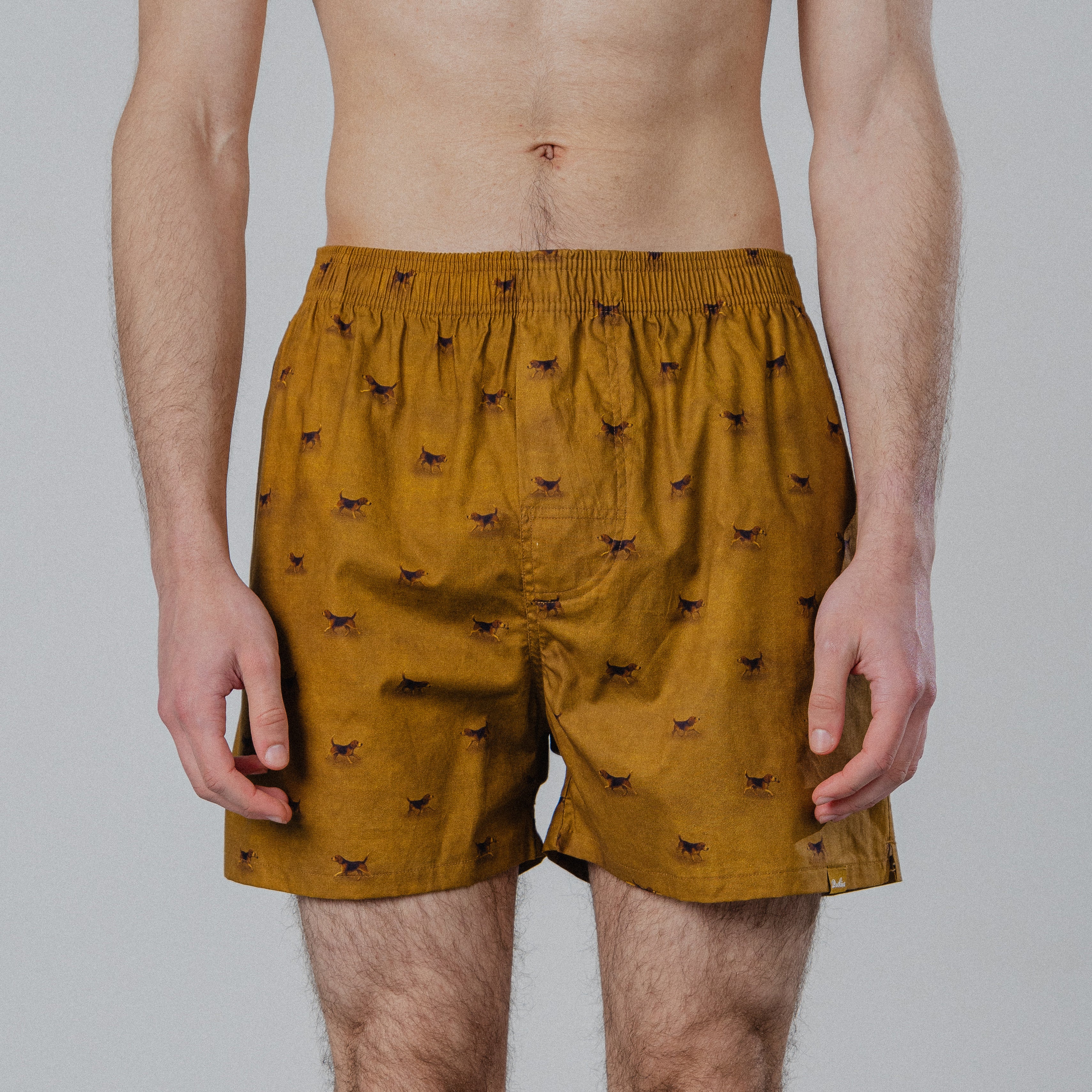 Beagle Boxers - Mustard