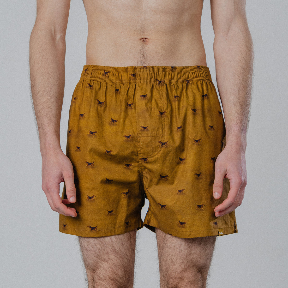Beagle Boxers - Mustard